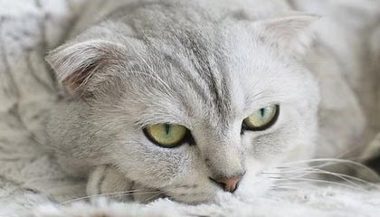 宝塔服务器资源跑高问题快速排查指南