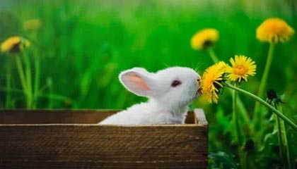 分享一种PHP快速获取来访用户IP的方法